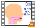 603008_消化（解説）