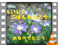 04ごはんをたこう
